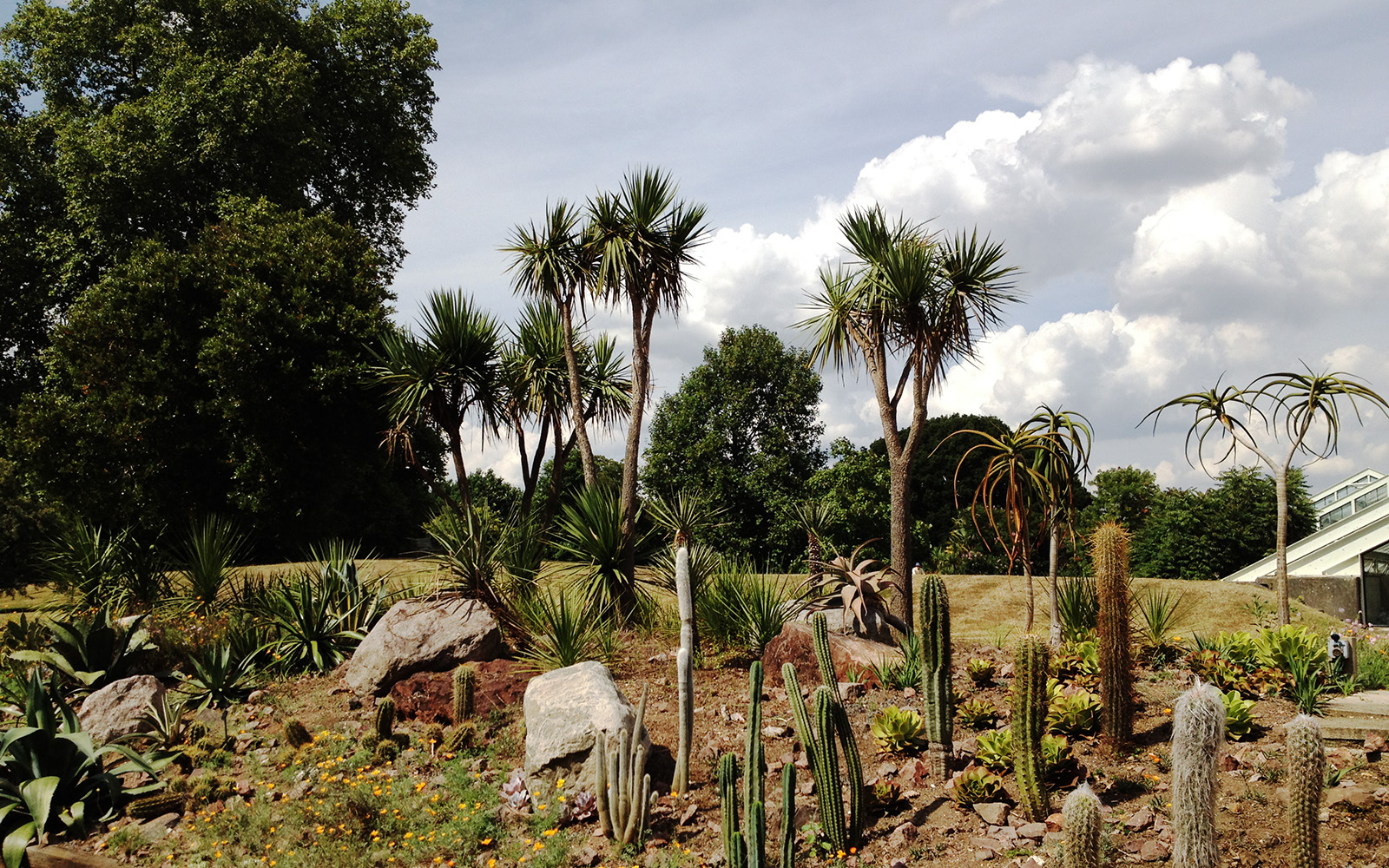 Kew Gardens, 2014