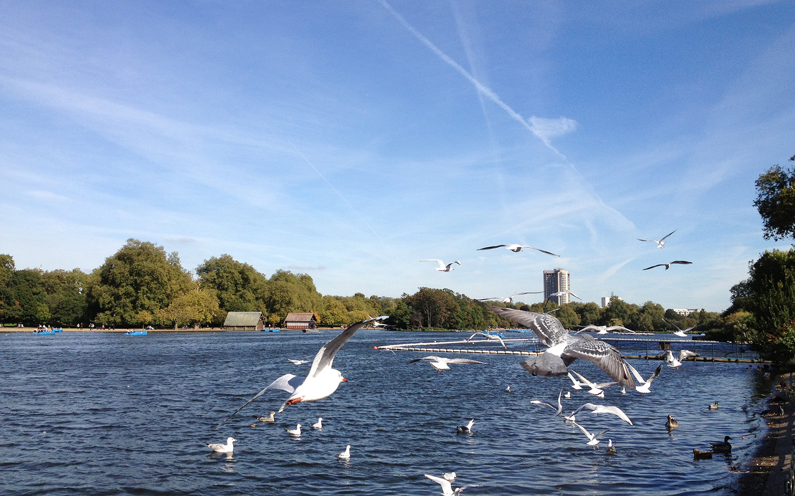 Hyde Park 30 September 2015