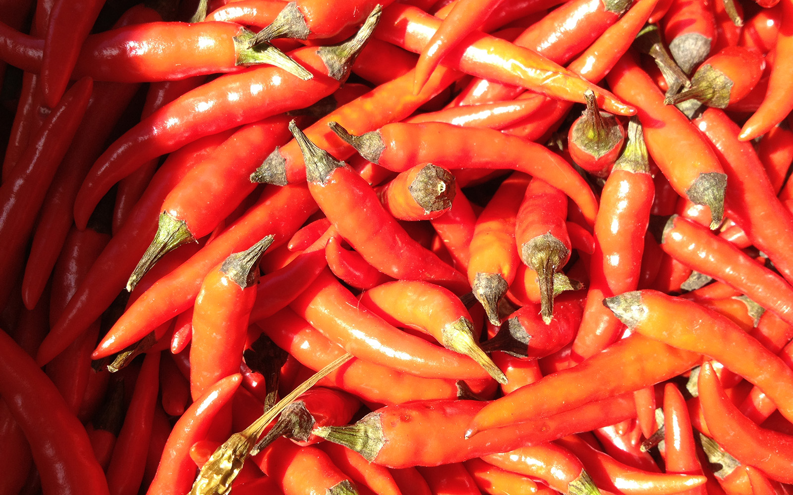 South Bank Spanish Food Festival, 4 May 2015